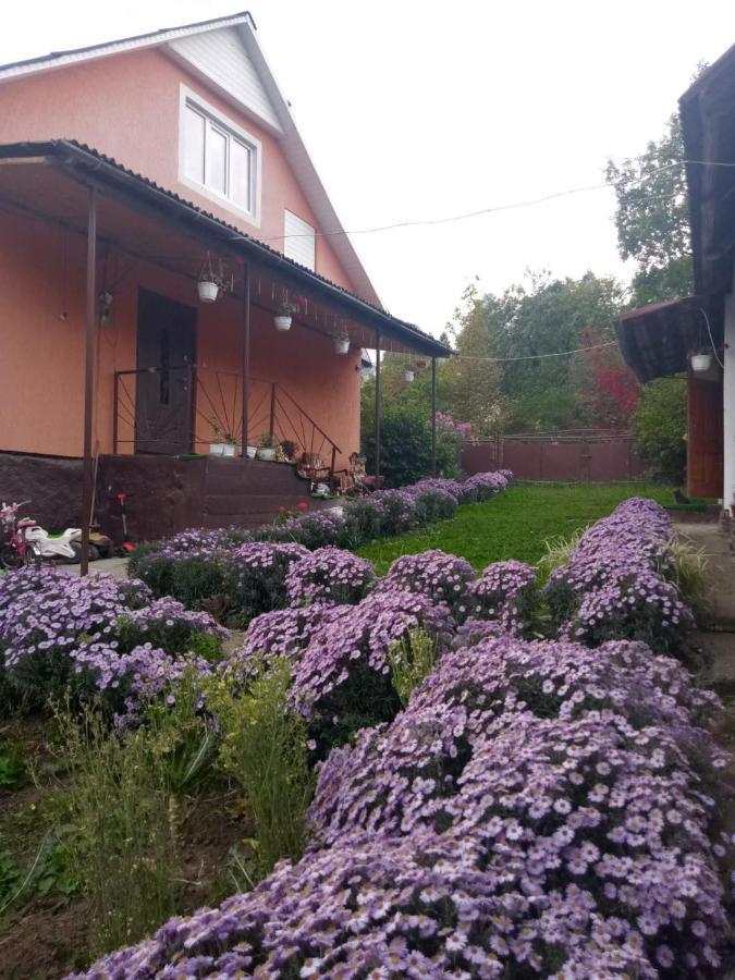 Gostynnyi Dvir U Marichky Hotel Lazeshchyna Ngoại thất bức ảnh